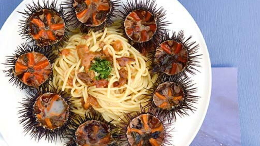Best Restaurants In Sardinia Italy At Molly Nielsen Blog Best Restaurants In Sardinia Italy At Molly Nielsen Blog